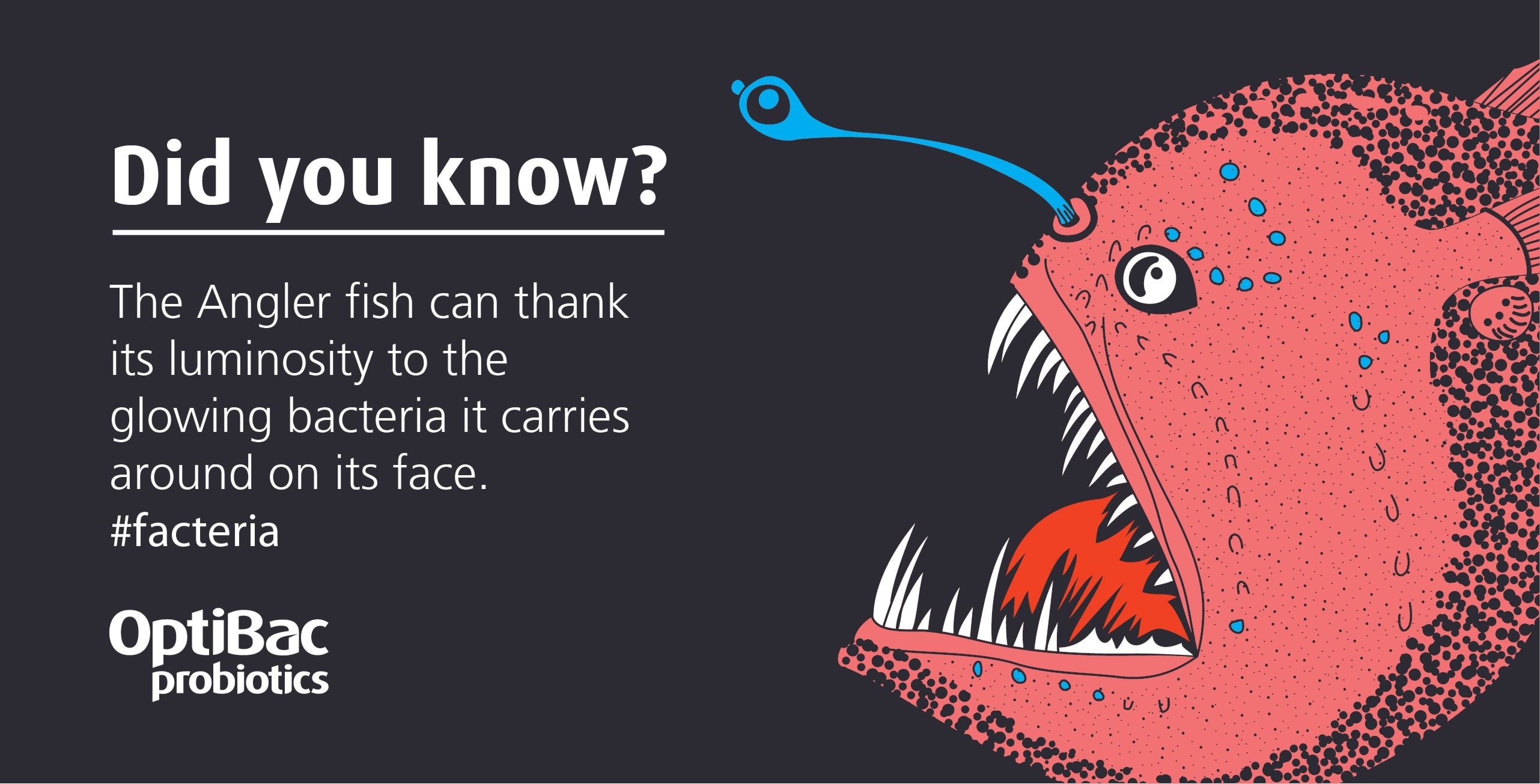 Probiotics fact about angler fish 