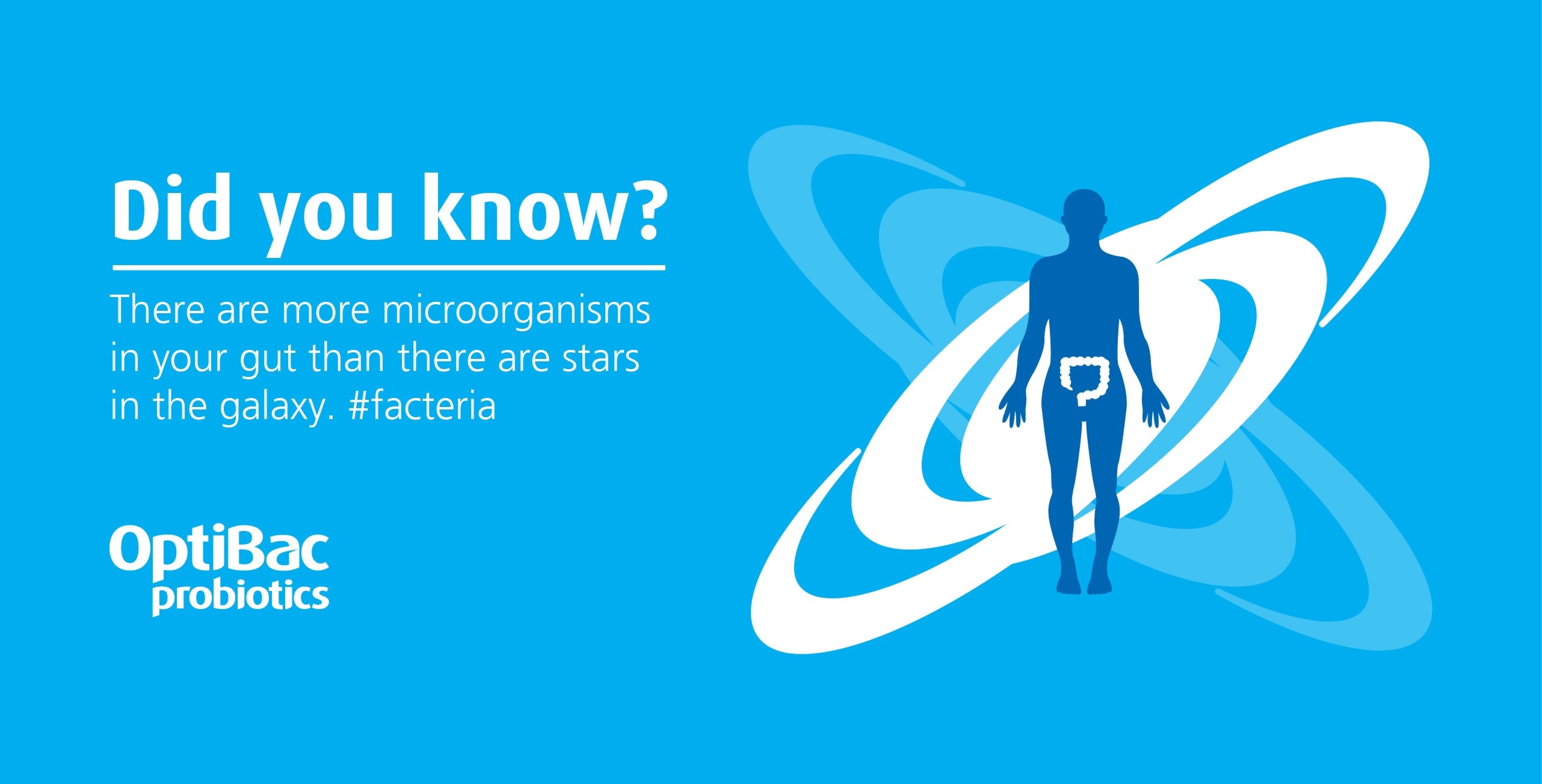 Fact about bacteria and the galaxy