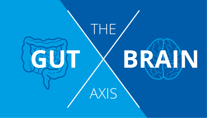 The gut brain axis poster
