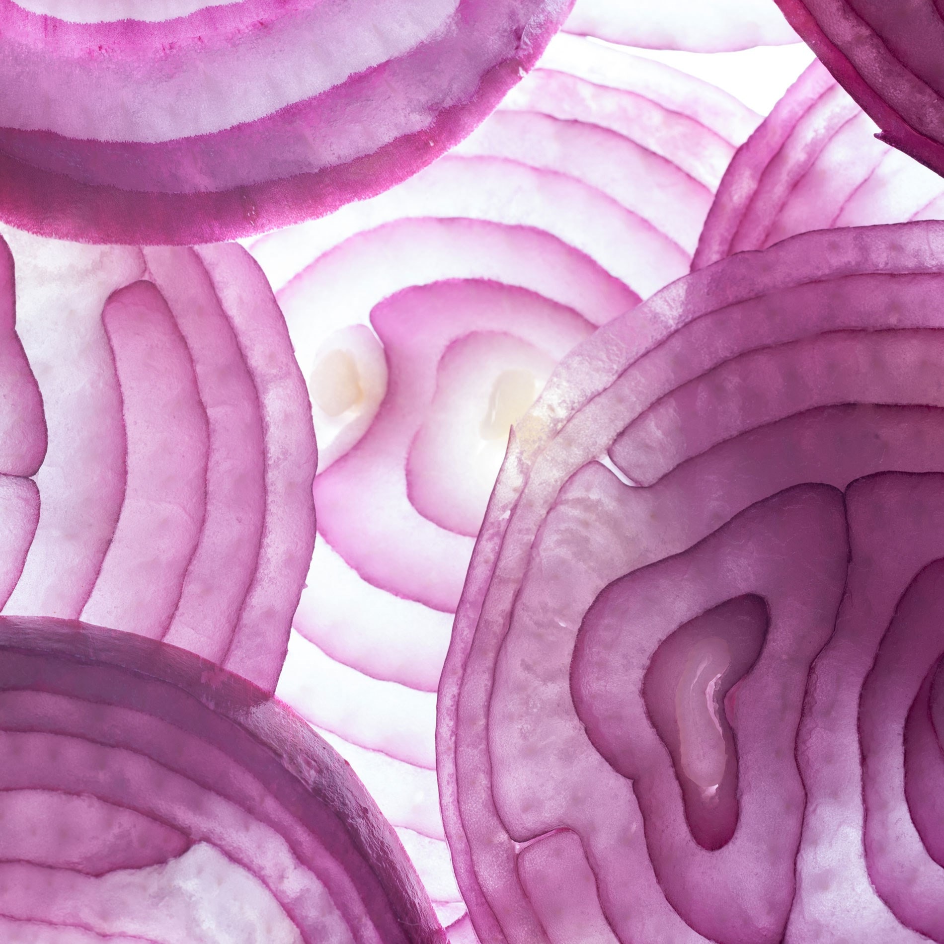 Image of onions 