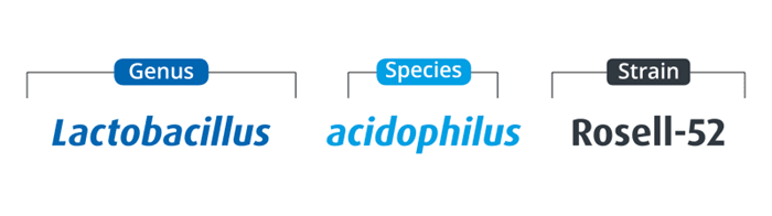 Genus: Lactobacillus; Species: acidophilus; Strain: Rosell-52