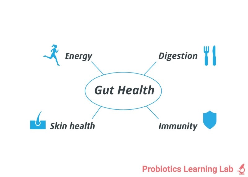 Gut health | Probiotics Learning Lab