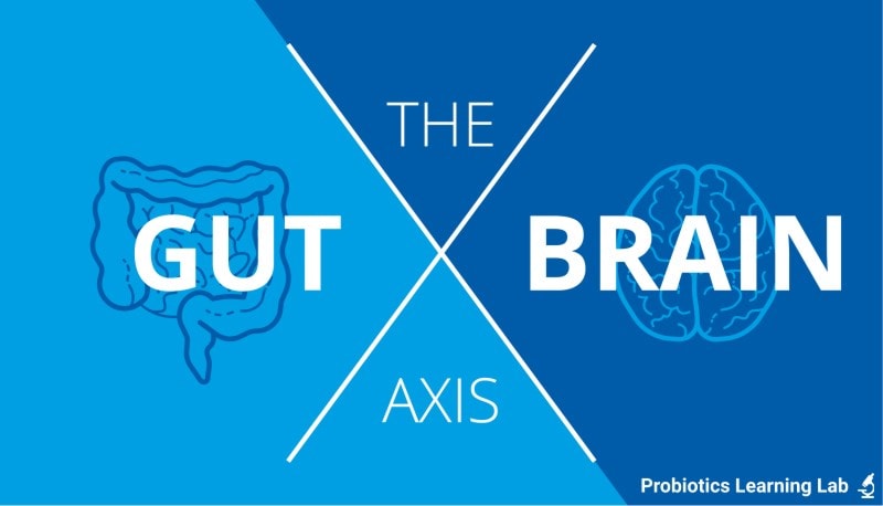 Gut brain axis 
