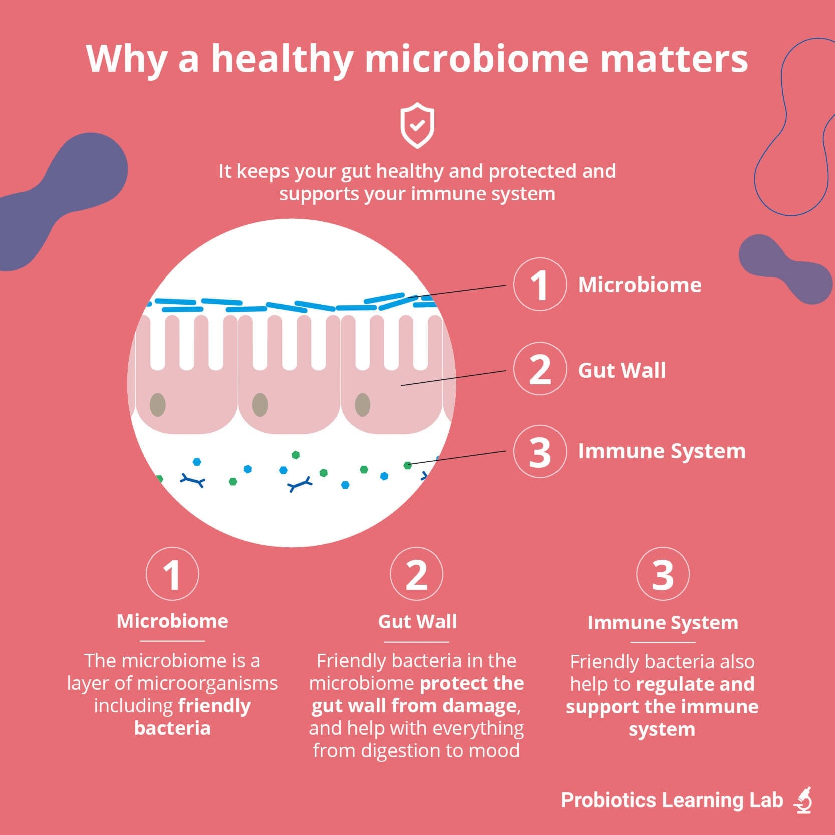 healthy microbiome