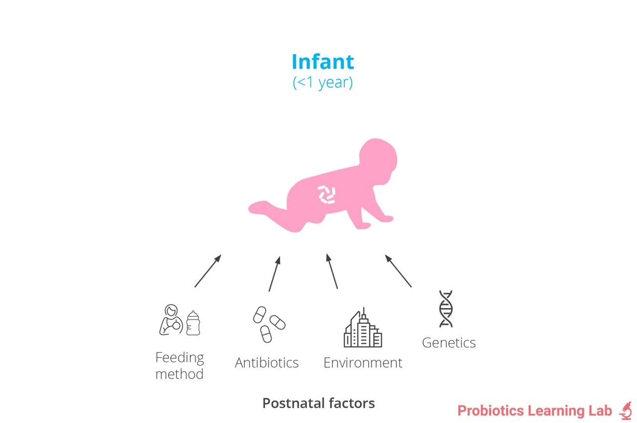 Postnatal factor to gut health.  Probiotics Learning Lab