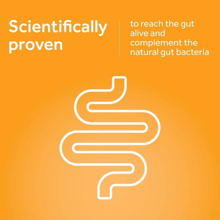 Optibac Probiotics Travel Abroad - scientifically proven to reach the gut alive and complement the natural gut bacteria