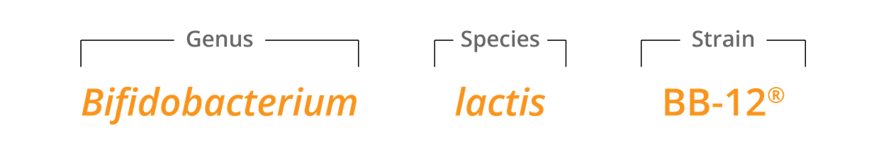 B lactis BB-12 Genus species & strain 